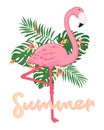 Cute cartoon pink flamingo on white background, wild tropical bird with exotic leaves and flowers, hand lettering, editable vector Royalty Free Stock Photo